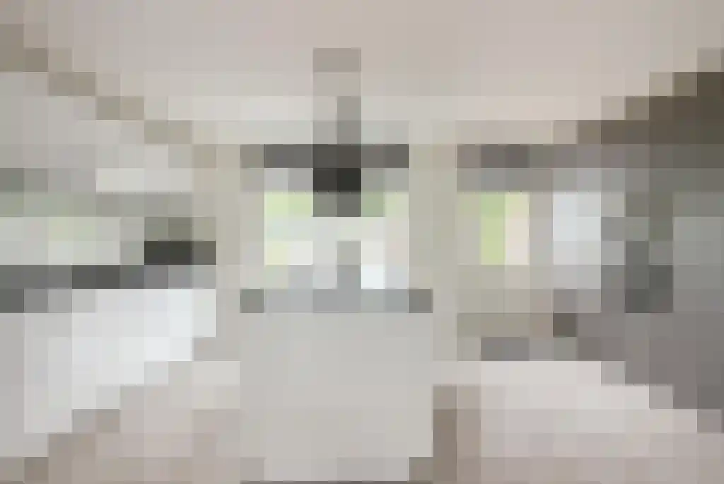 Eekhoornbos 9 Zeewolde thumbnail 5