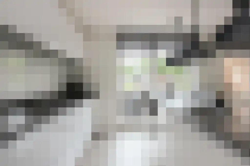 Eekhoornbos 9 Zeewolde thumbnail 7