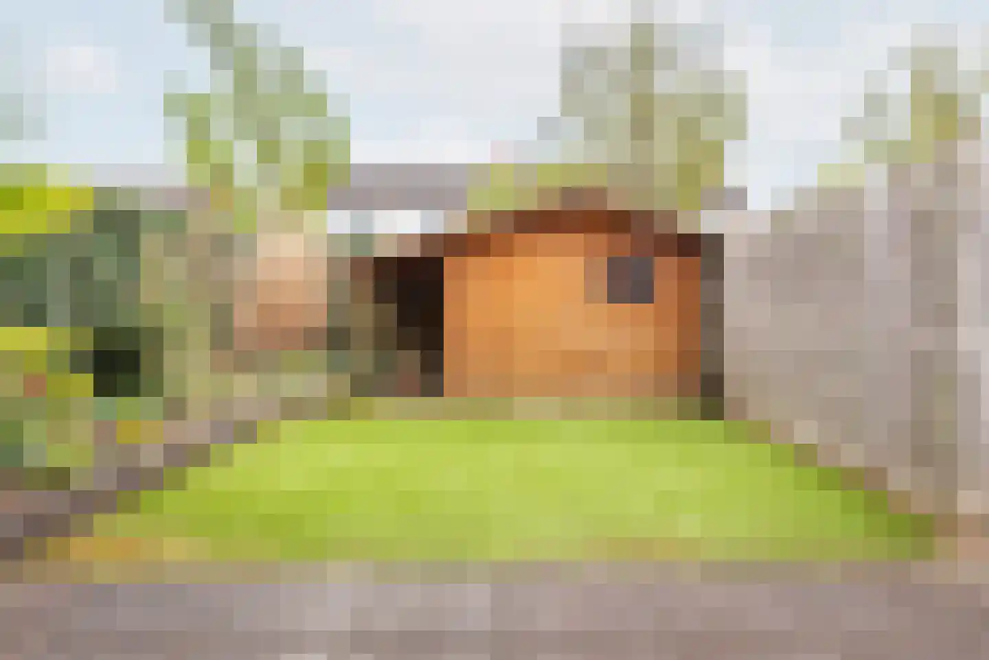 Eekhoornhof 11 Silvolde thumbnail 35