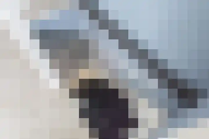 Eekhoornhof 14 Silvolde thumbnail 30