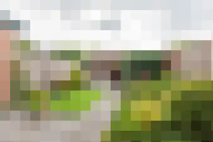 Eekhoornhof 14 Silvolde thumbnail 35
