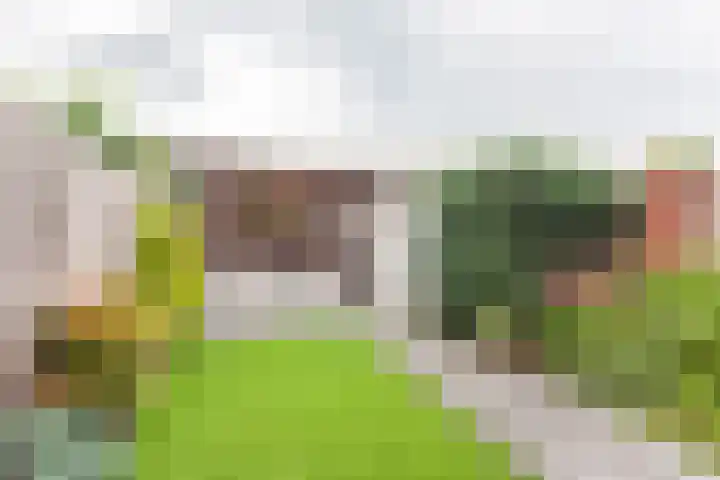 Eekhoornhof 14 Silvolde thumbnail 36