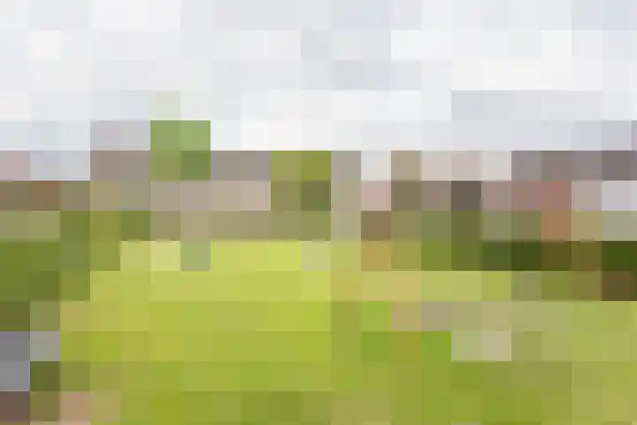 Eekhoornhof 14 Silvolde thumbnail 42
