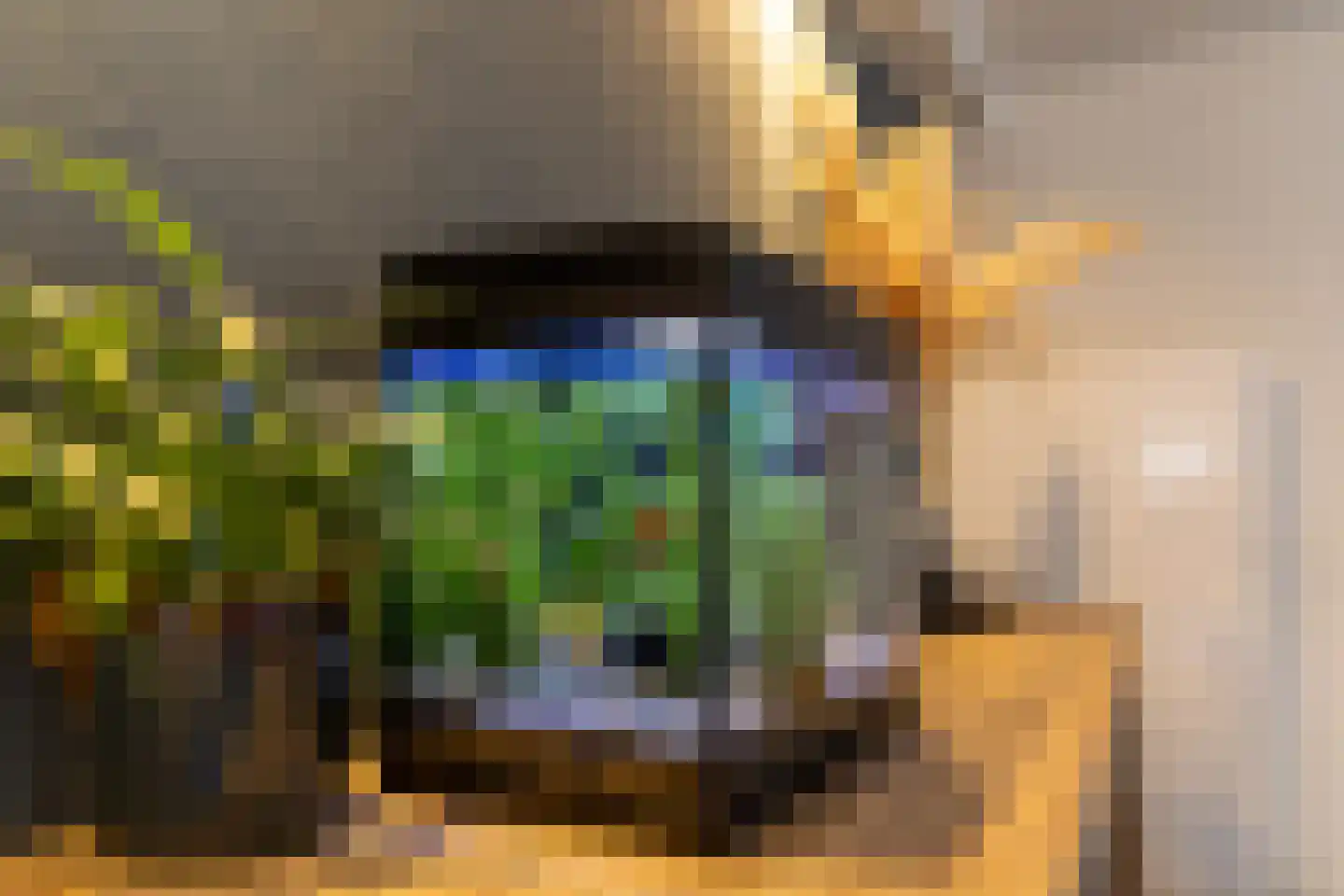 Eekhoornhof 34 Silvolde thumbnail 19