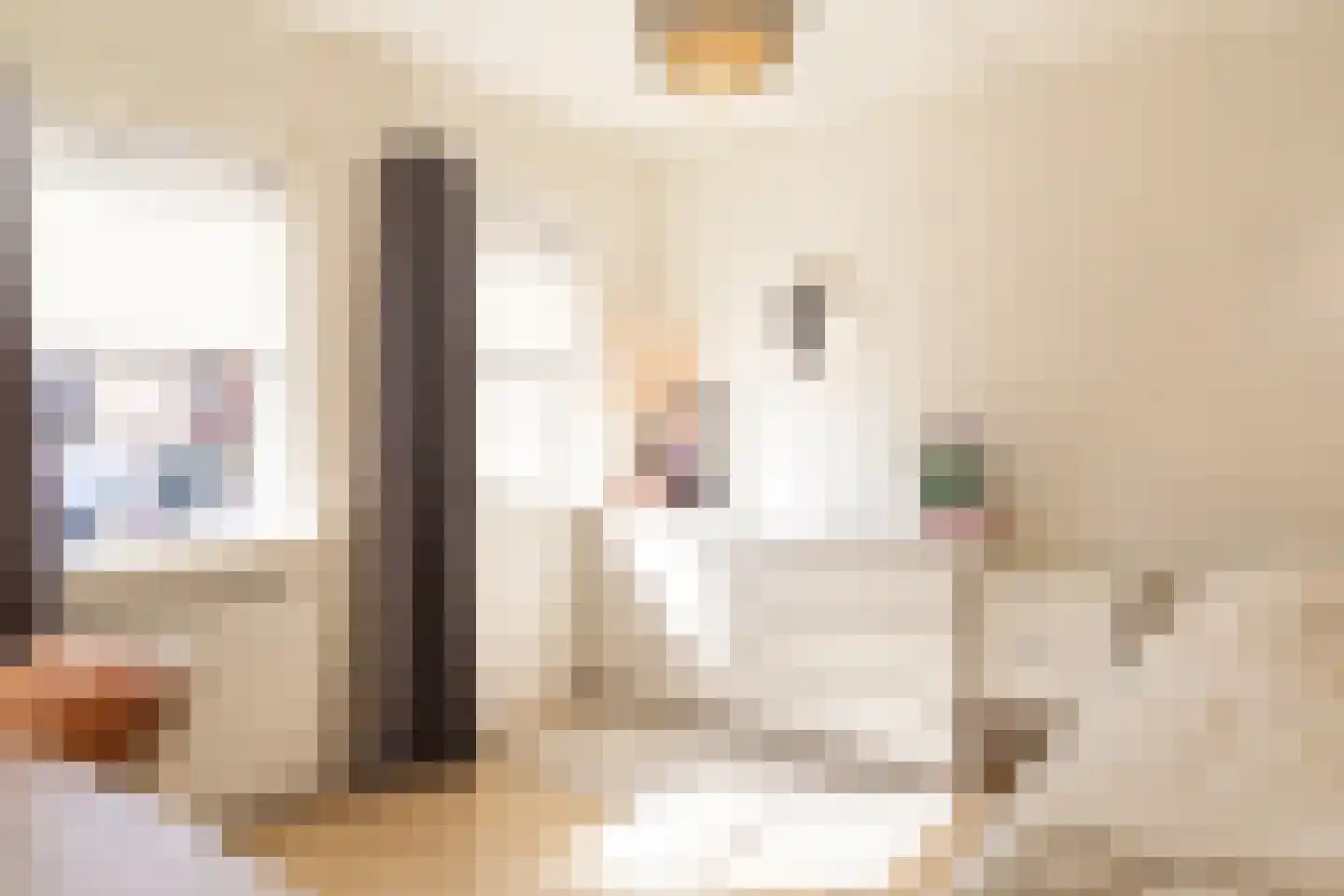 Eekhoornhof 34 Silvolde thumbnail 31