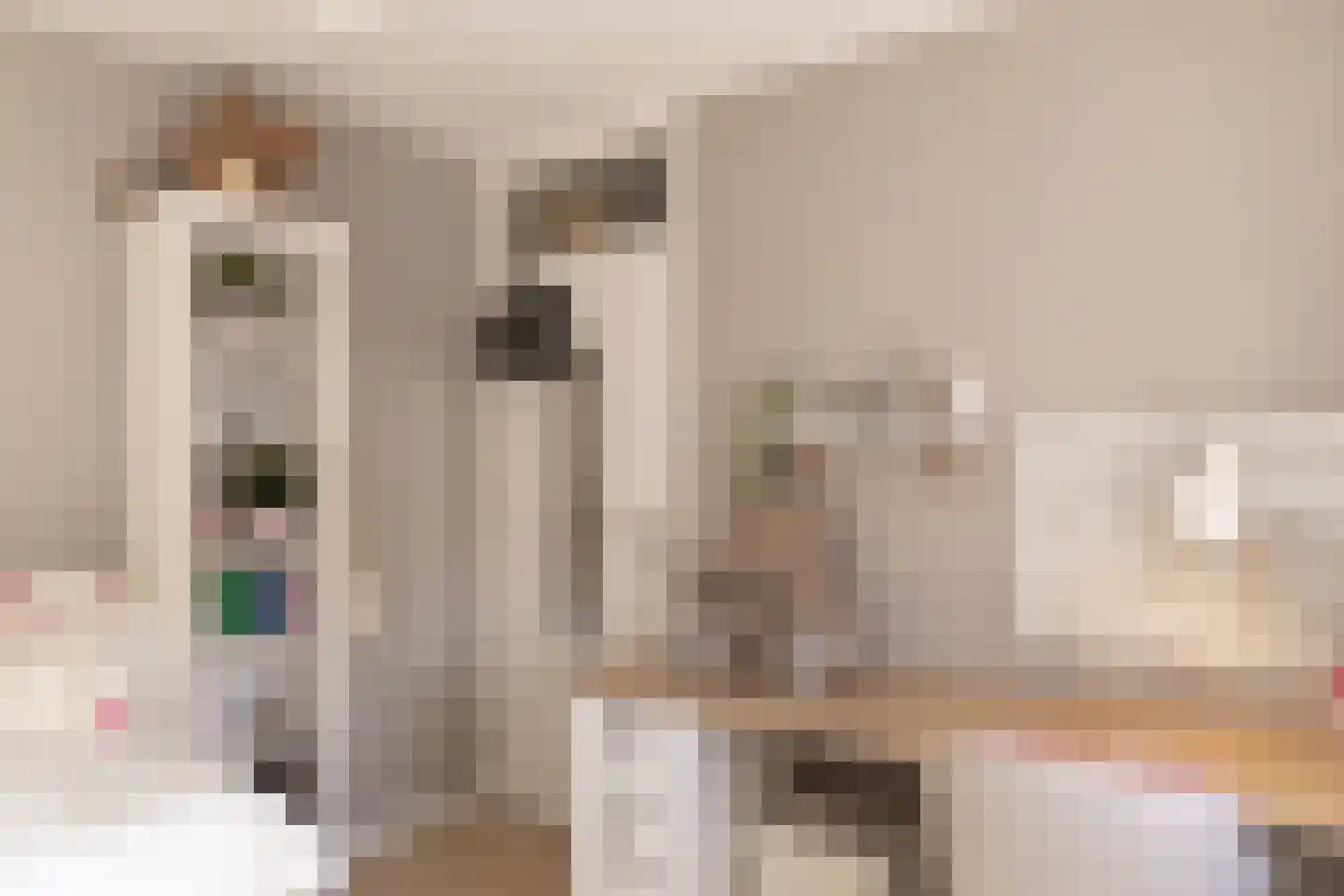 Eekhoornhof 34 Silvolde thumbnail 33