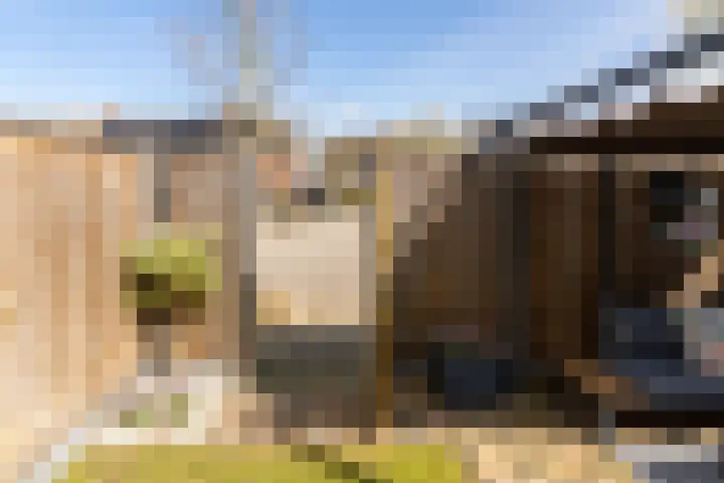 Eekhoornhof 34 Silvolde thumbnail 44