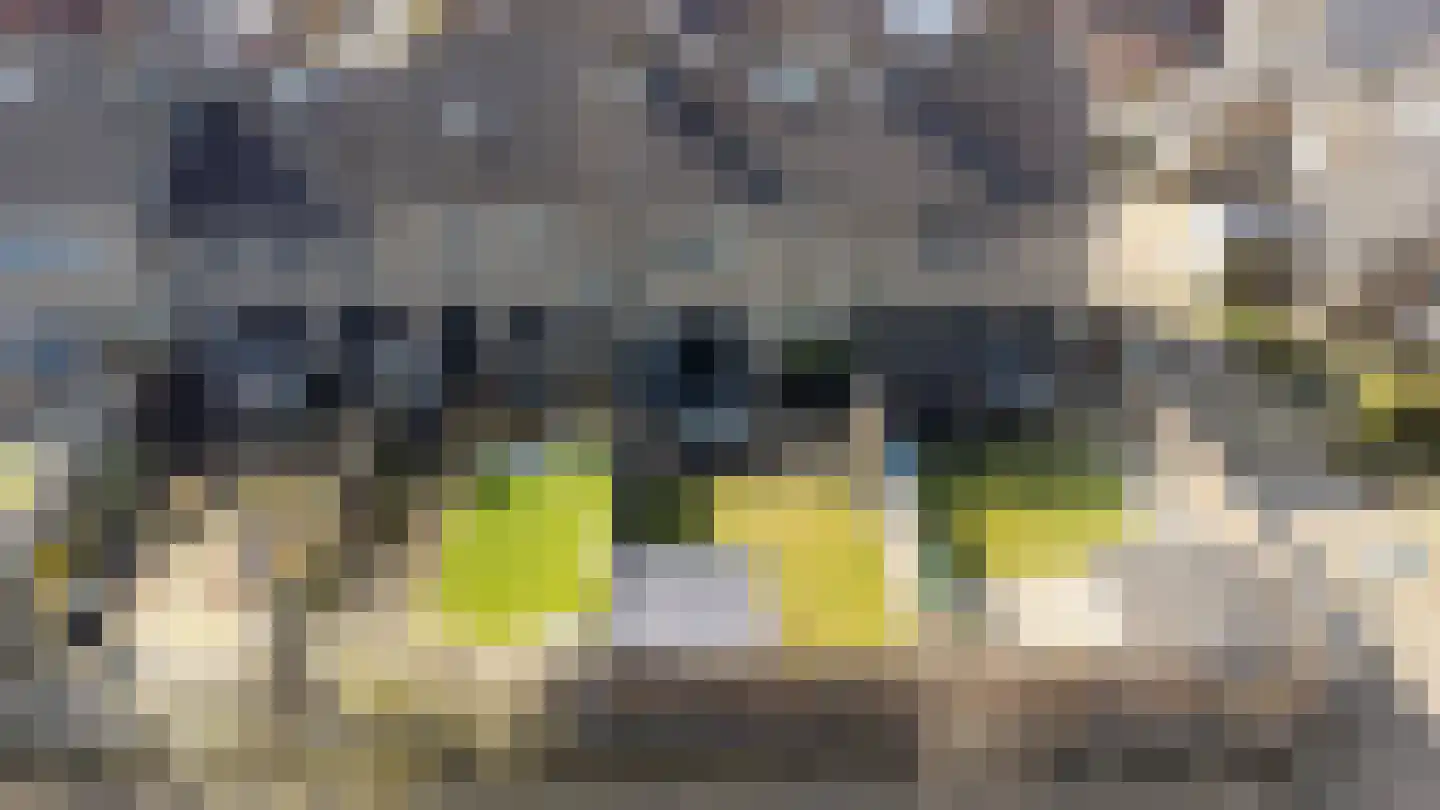 Eekhoornhof 34 Silvolde thumbnail 47