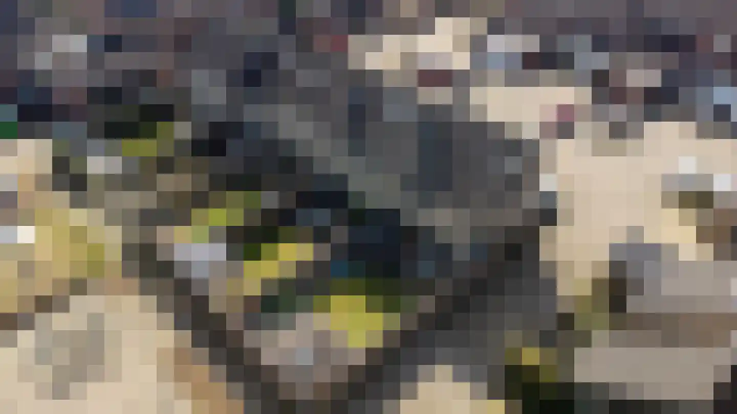 Eekhoornhof 34 Silvolde thumbnail 48