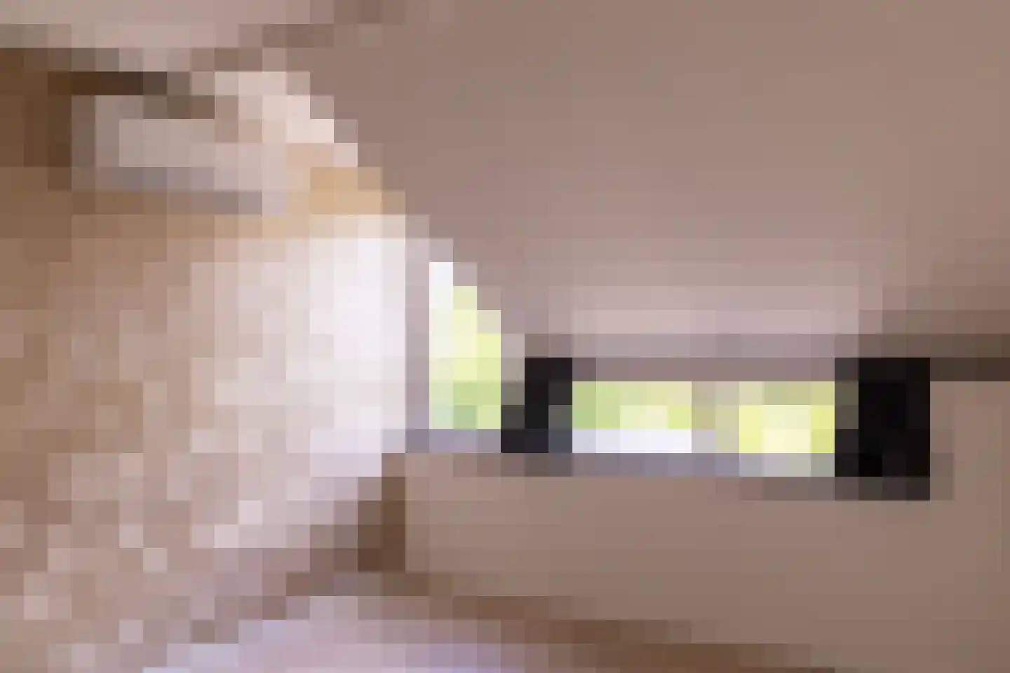 Eekhoornhof 41 Silvolde thumbnail 17