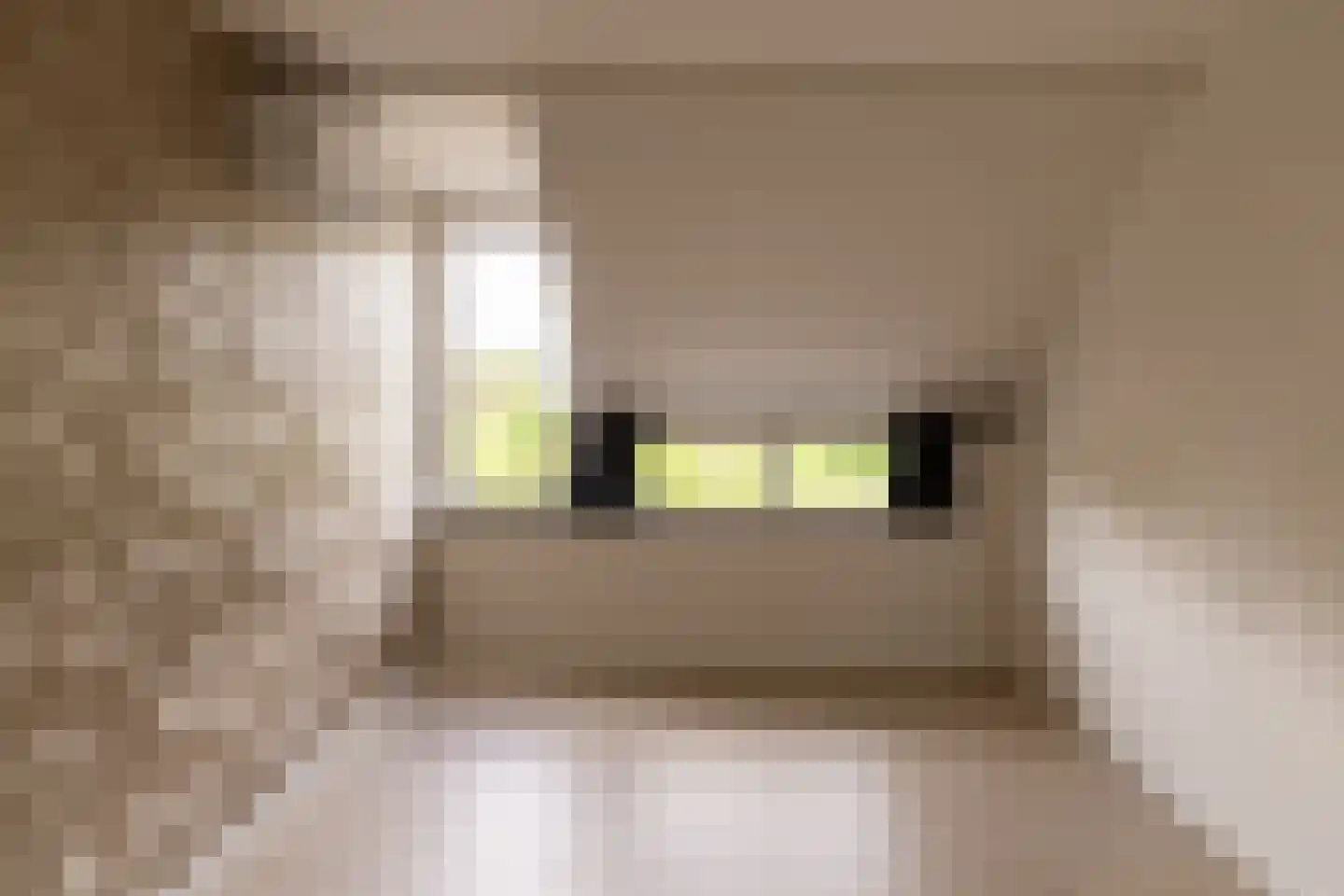 Eekhoornhof 41 Silvolde thumbnail 18