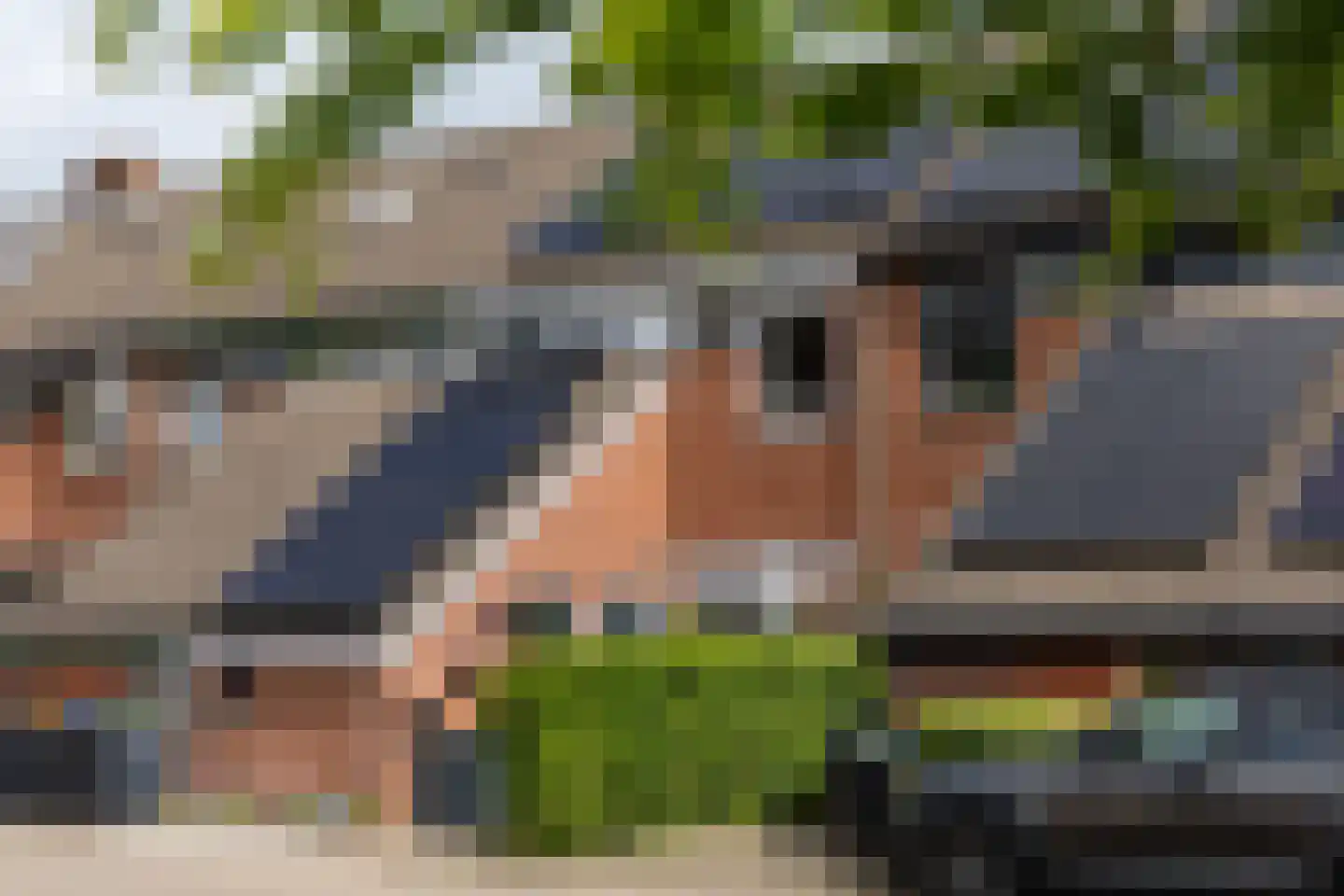 Eekhoornhof 41 Silvolde foto 3