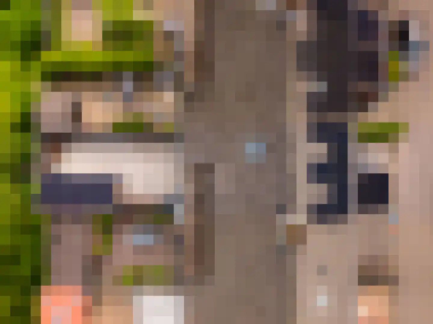 Eekhoornhof 41 Silvolde thumbnail 33