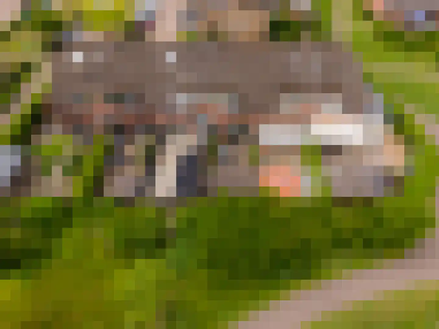 Eekhoornhof 41 Silvolde thumbnail 34