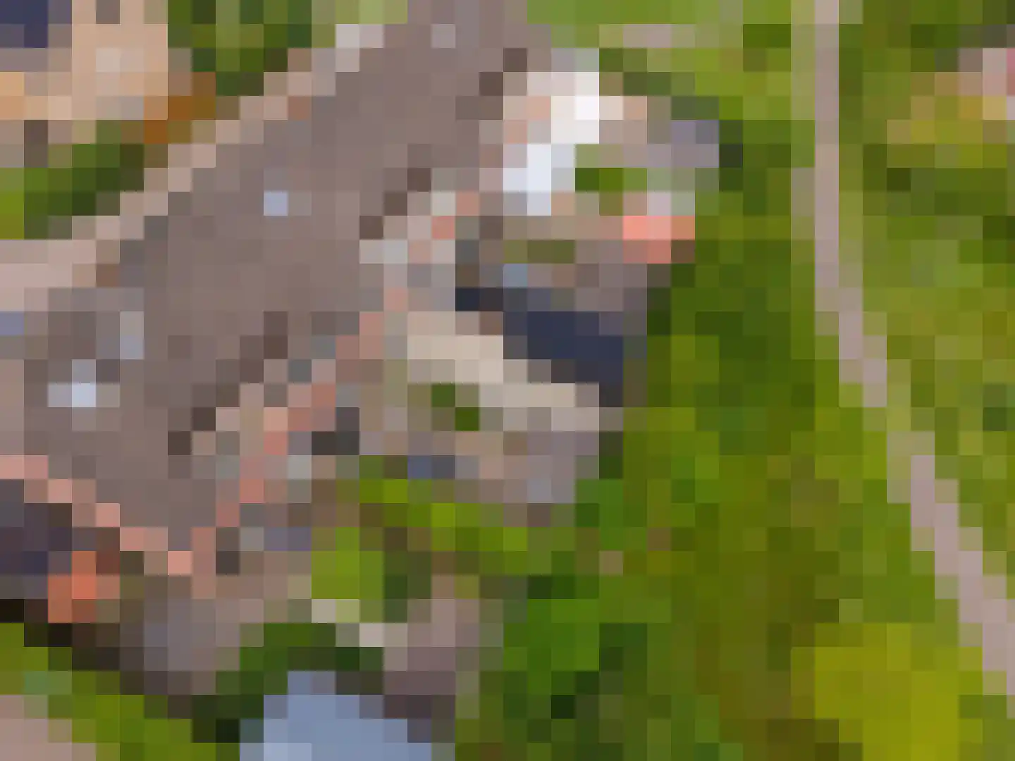 Eekhoornhof 41 Silvolde thumbnail 35