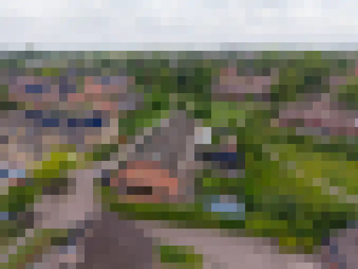 Eekhoornhof 41 Silvolde thumbnail 36