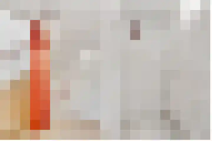 Eekhoornlaan 10 Den Dolder thumbnail 11