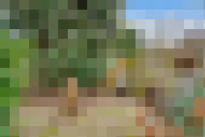 Eekhoornlaan 10 Den Dolder thumbnail 24