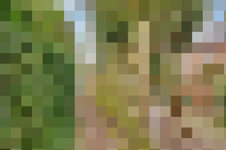 Eekhoornlaan 10 Den Dolder thumbnail 25