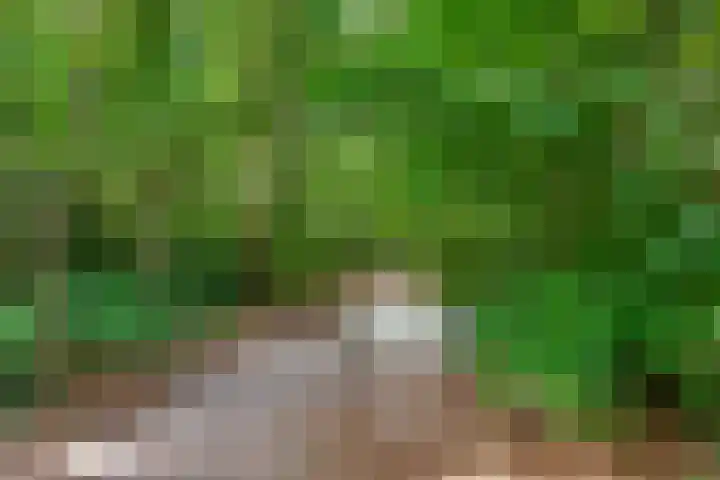 Eekhoornlaan 10 Den Dolder thumbnail 30