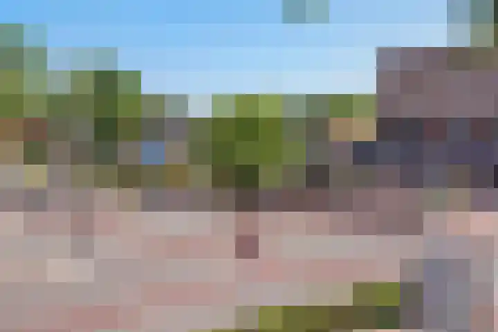 Eekhoornlaan 10 Den Dolder thumbnail 31