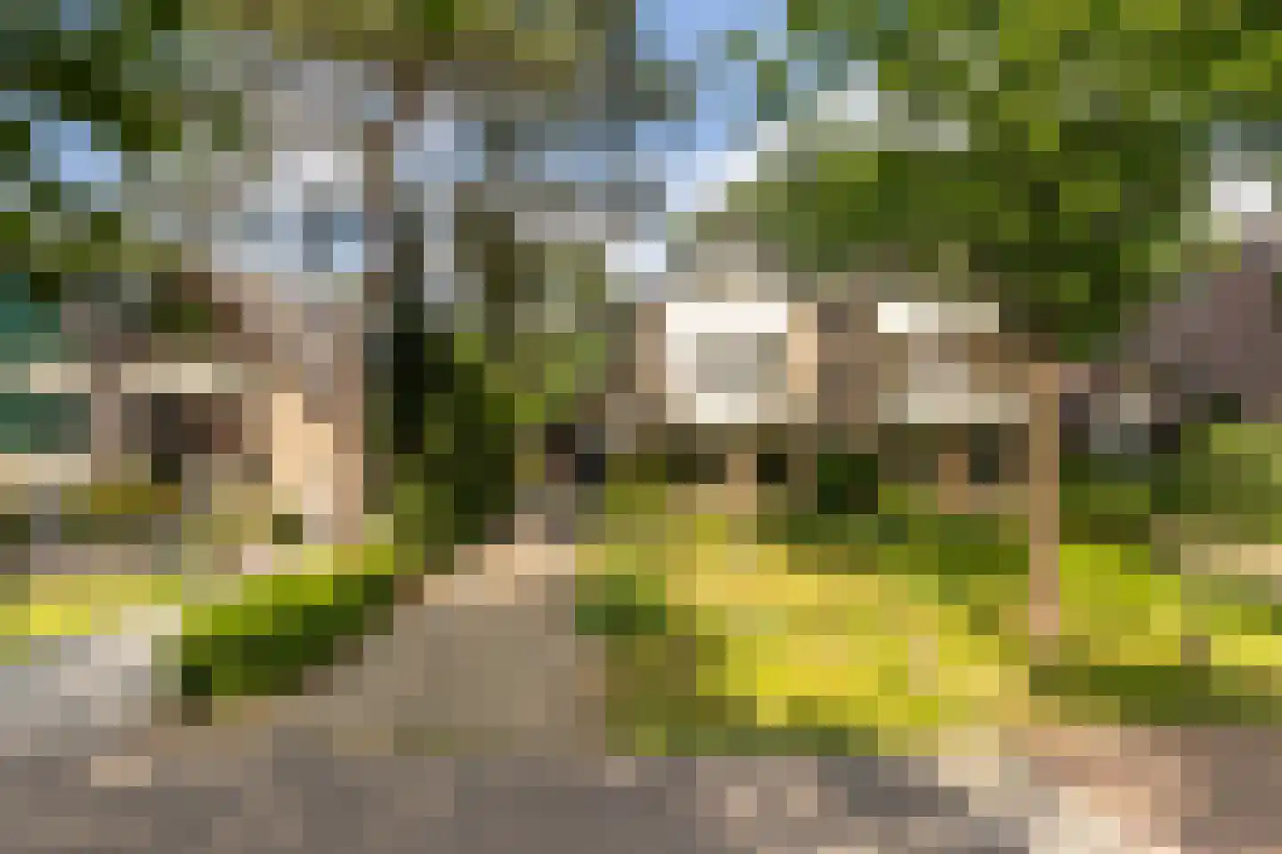 Eekhoornlaan 11 in Wezep