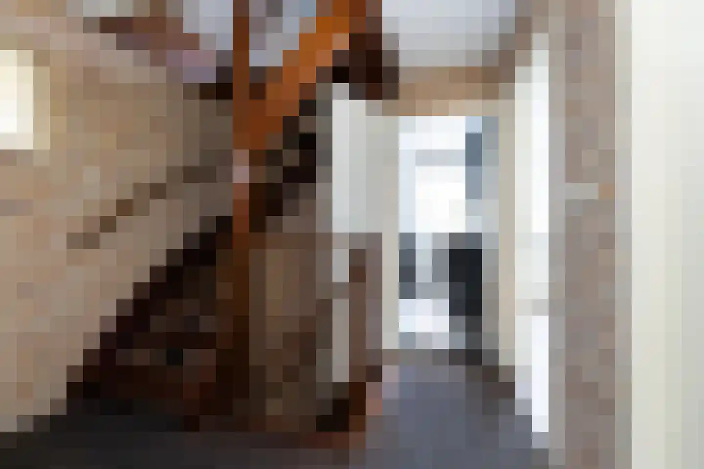 Eekhoornlaan 11 Wezep thumbnail 21
