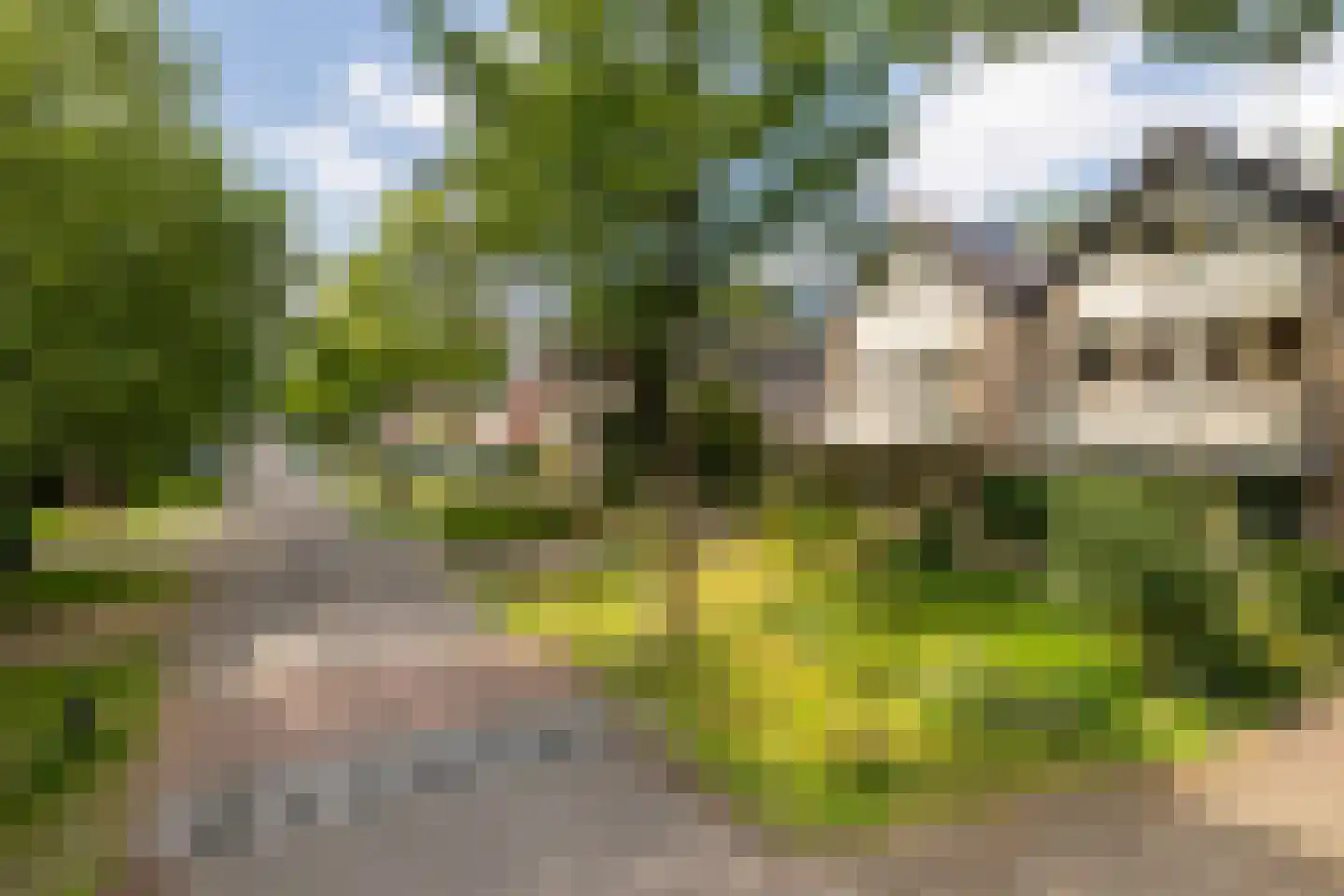 Eekhoornlaan 11 Wezep foto 3