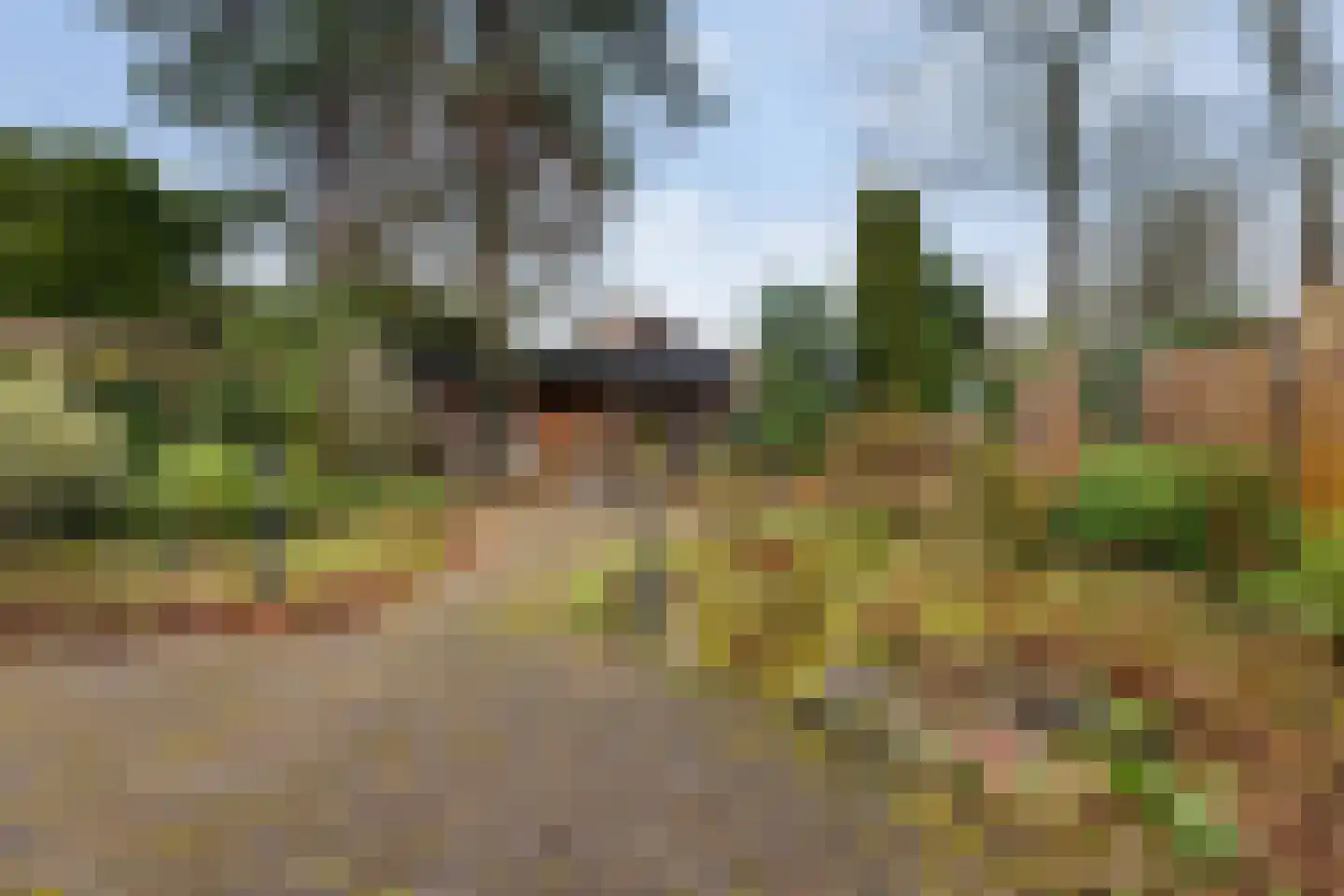 Eekhoornlaan 11 Wezep thumbnail 32
