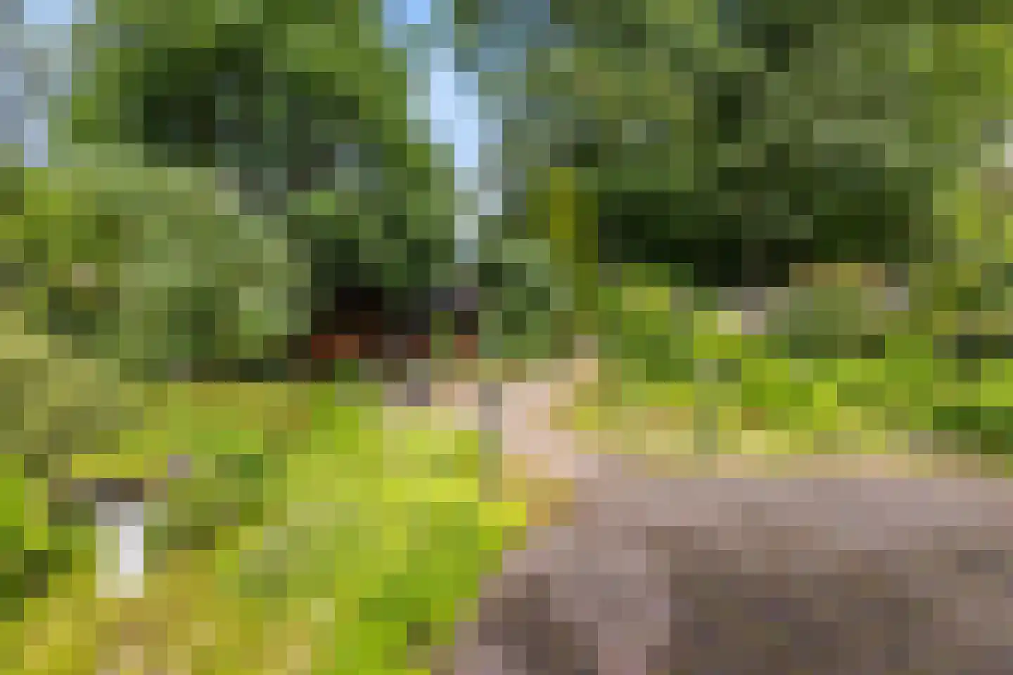 Eekhoornlaan 11 Wezep thumbnail 34