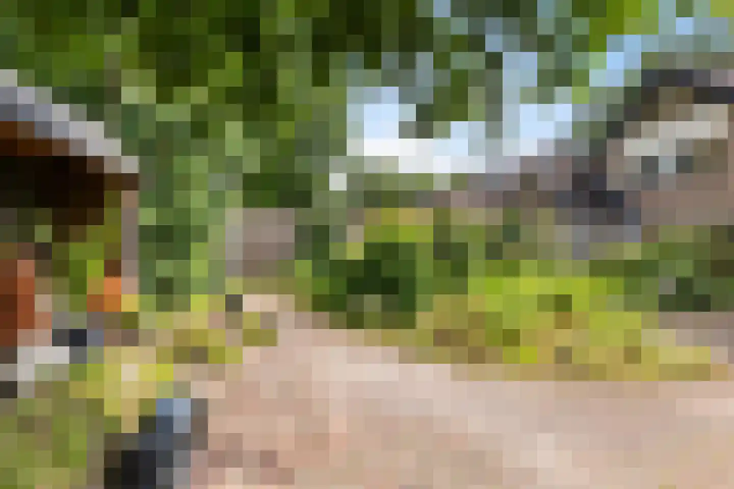 Eekhoornlaan 11 Wezep thumbnail 37