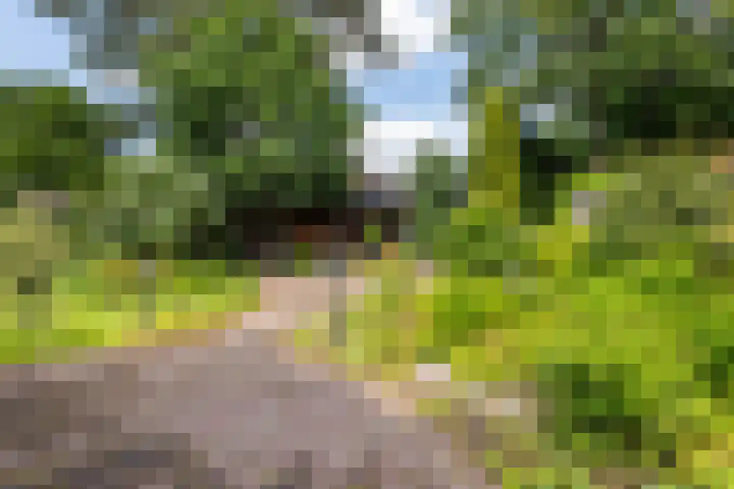 Eekhoornlaan 11 Wezep thumbnail 4