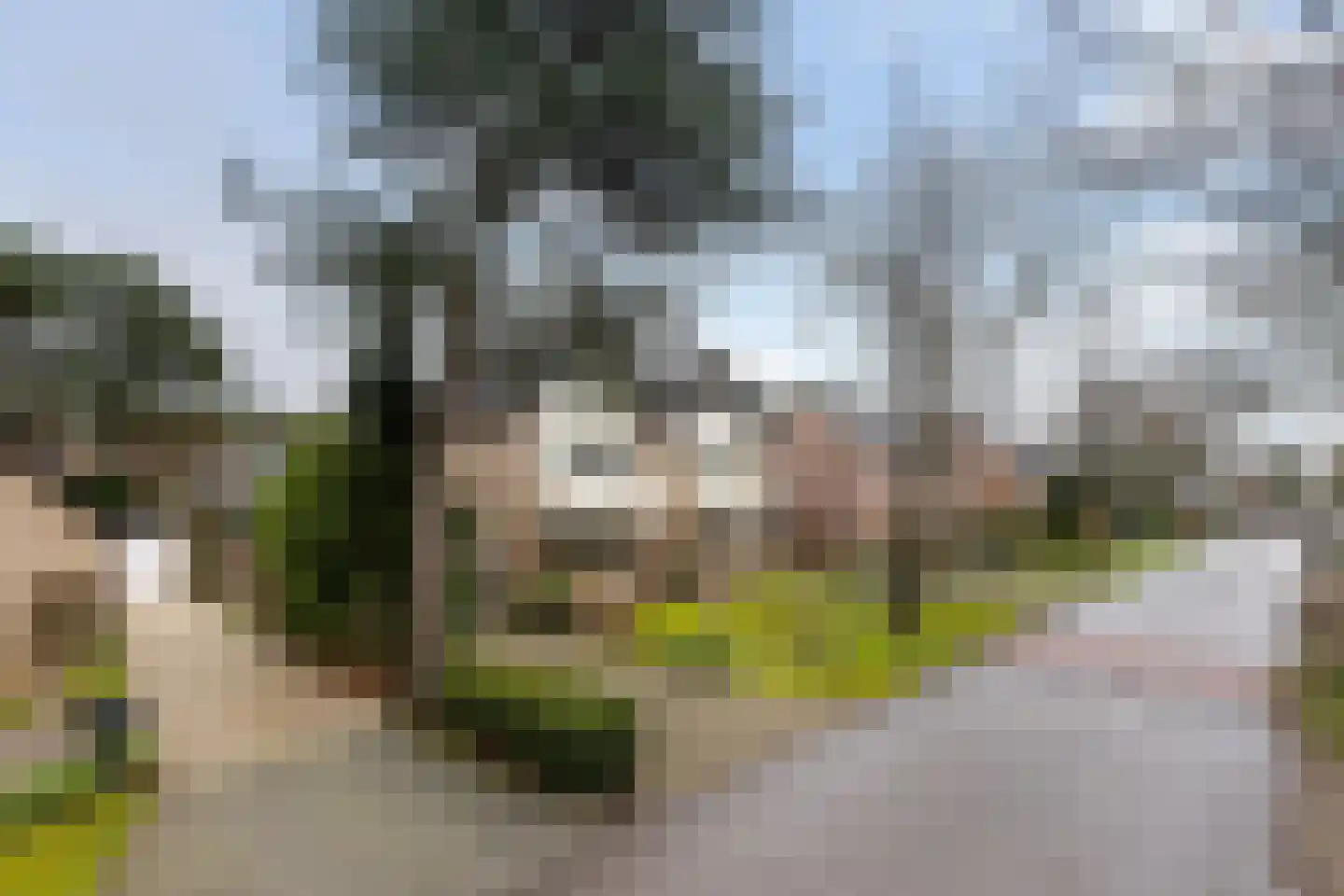 Eekhoornlaan 11 Wezep thumbnail 4