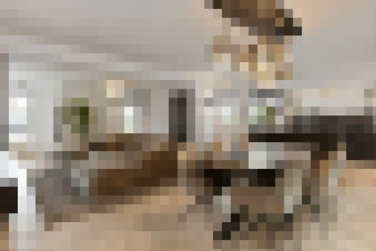 Eekhoornlaan 12 Waalre thumbnail 10