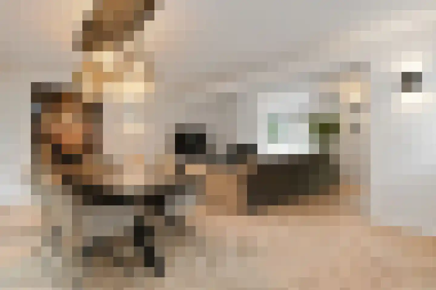 Eekhoornlaan 12 Waalre thumbnail 11