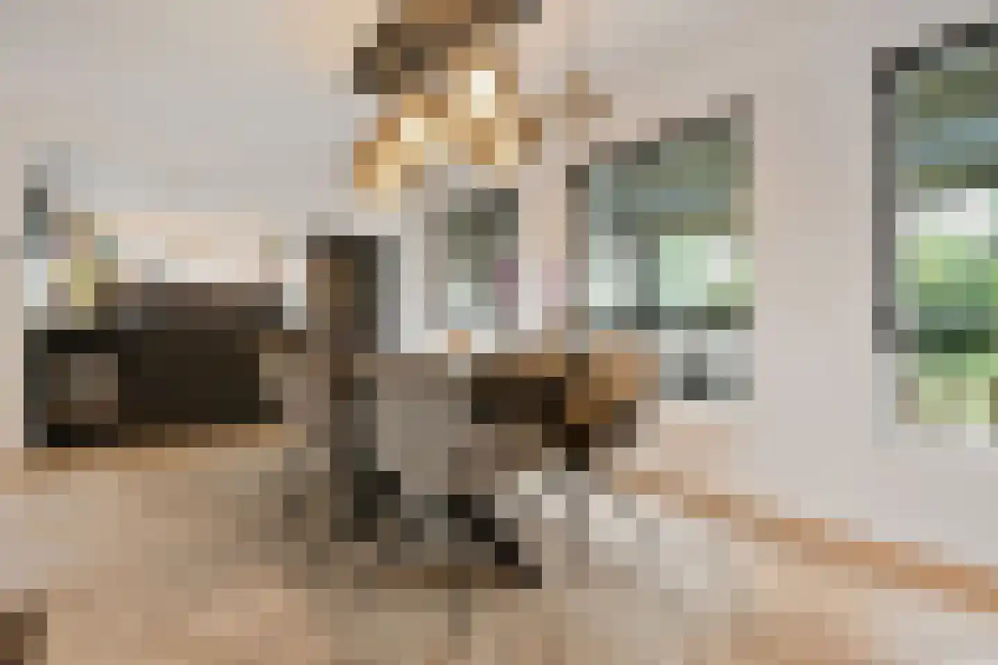 Eekhoornlaan 12 Waalre thumbnail 13