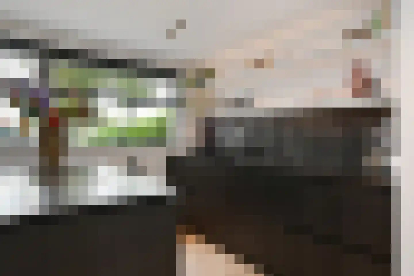 Eekhoornlaan 12 Waalre thumbnail 17