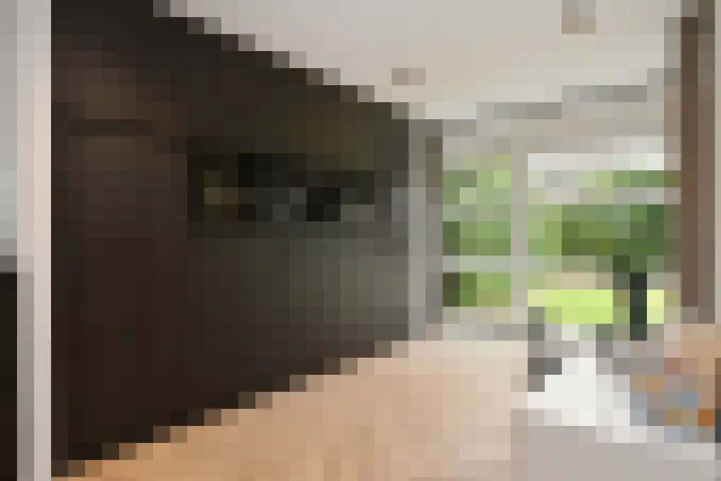 Eekhoornlaan 12 Waalre thumbnail 18
