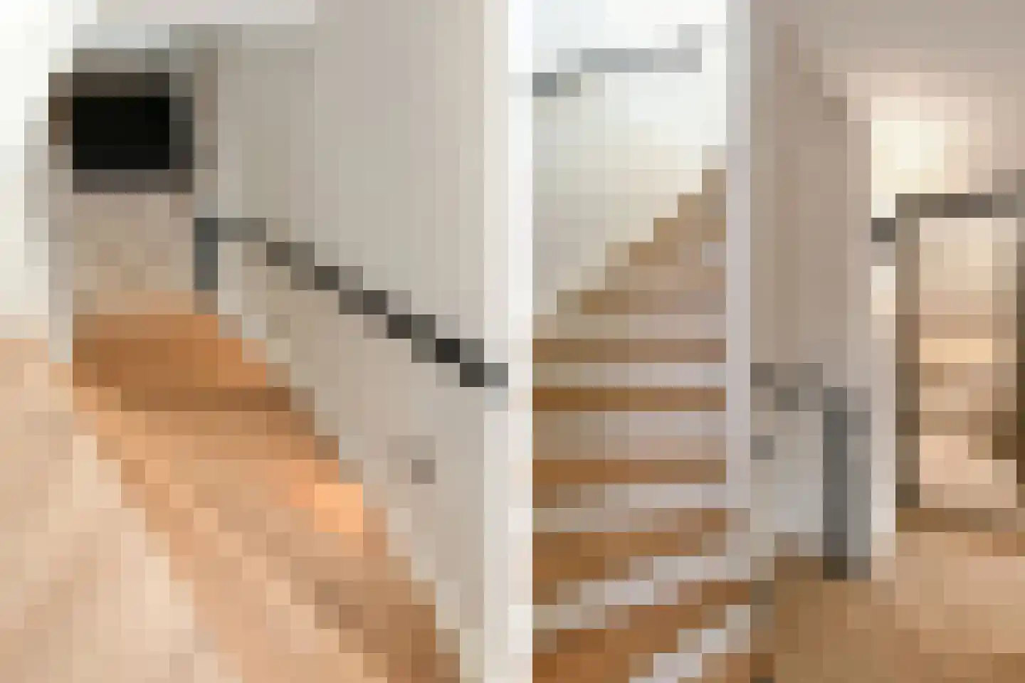 Eekhoornlaan 12 Waalre thumbnail 21