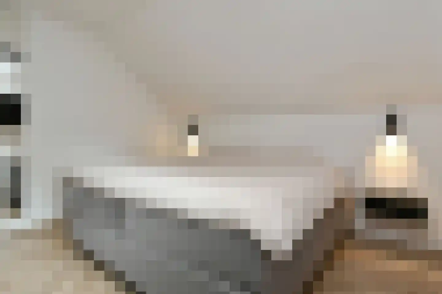 Eekhoornlaan 12 Waalre thumbnail 23