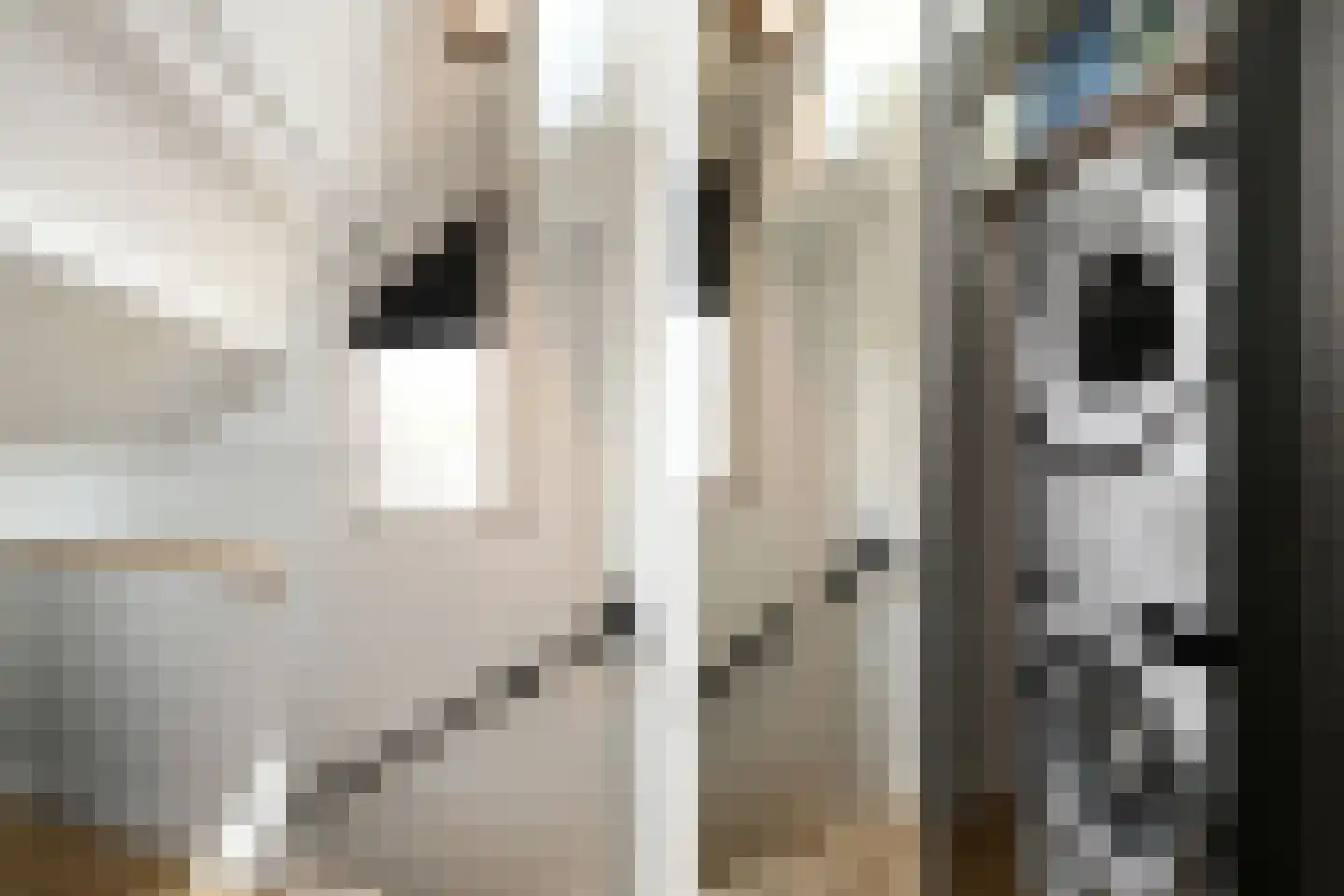 Eekhoornlaan 12 Waalre thumbnail 28