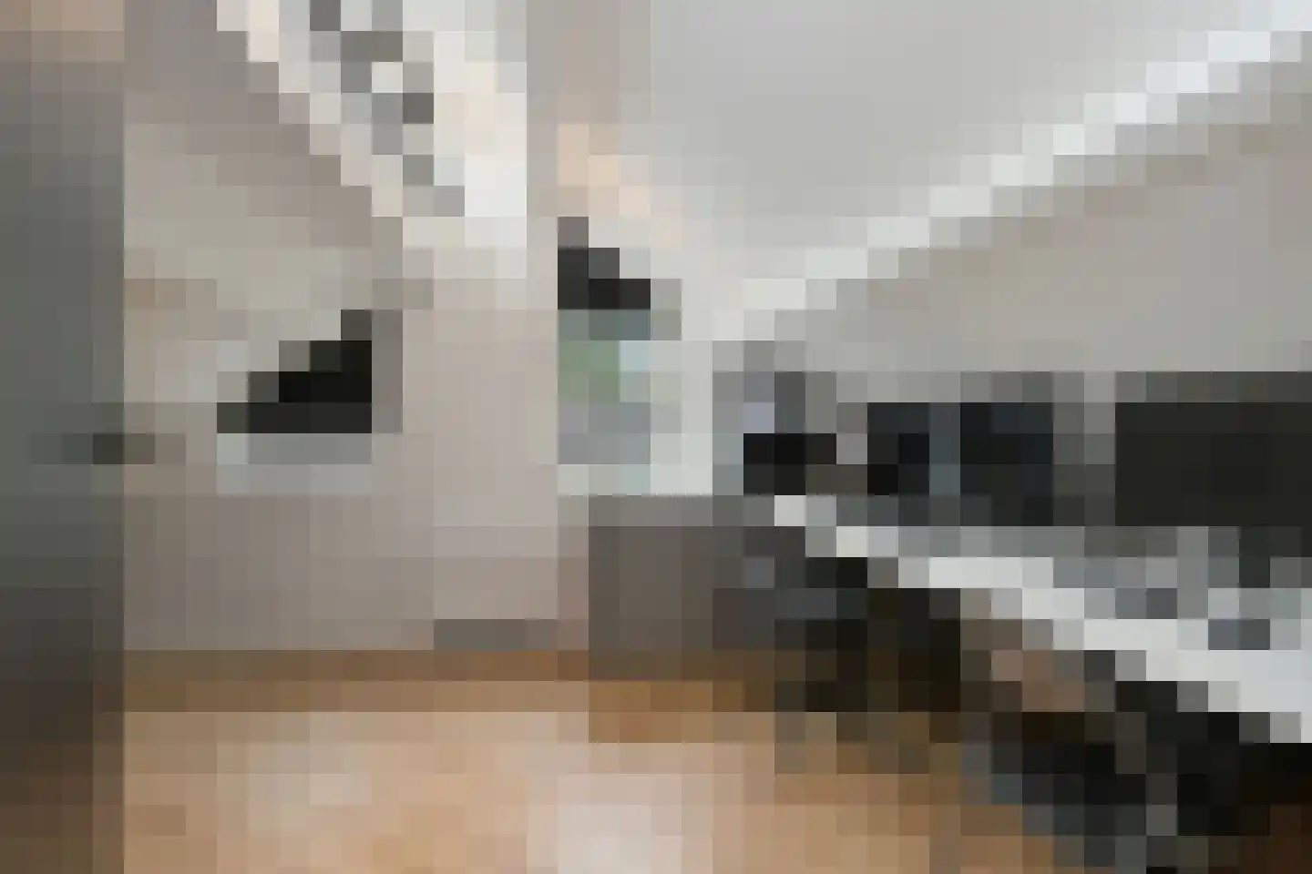 Eekhoornlaan 12 Waalre thumbnail 29