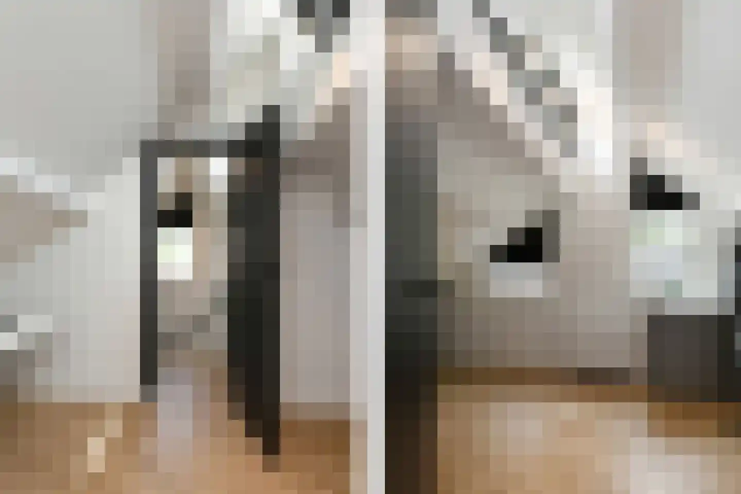 Eekhoornlaan 12 Waalre thumbnail 30