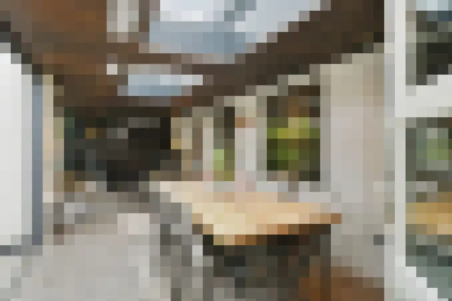 Eekhoornlaan 12 Waalre thumbnail 31