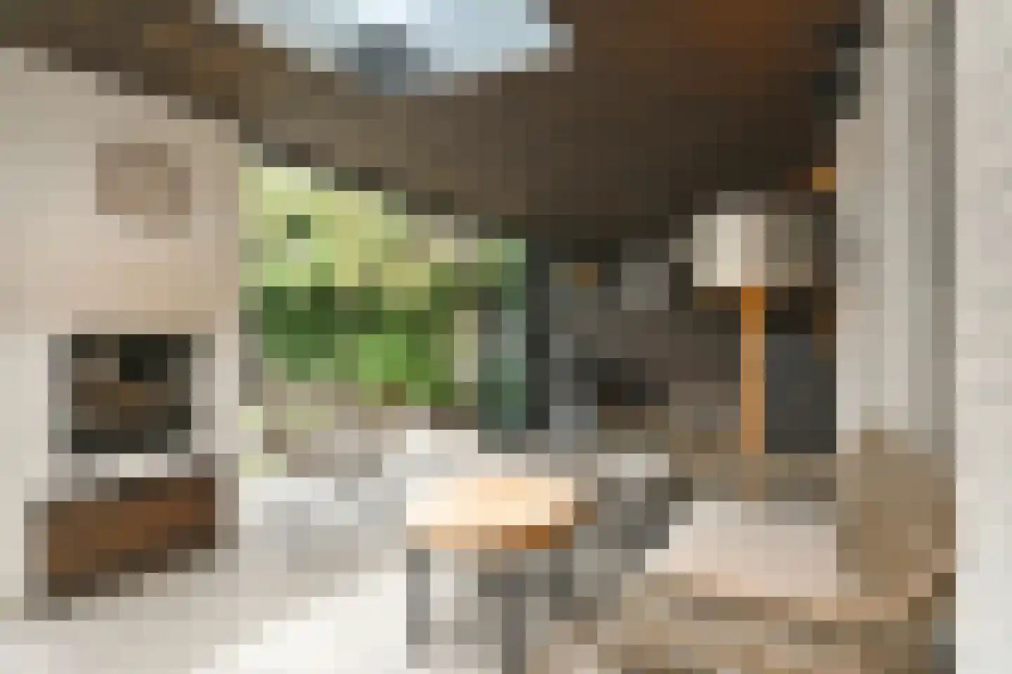 Eekhoornlaan 12 Waalre thumbnail 32
