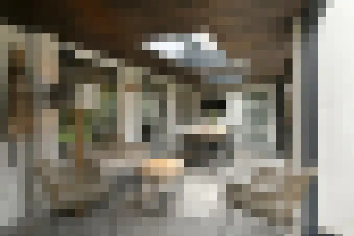 Eekhoornlaan 12 Waalre thumbnail 33