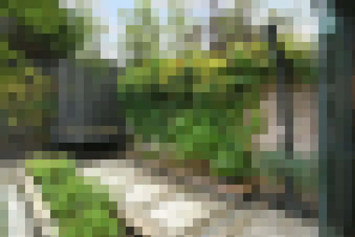 Eekhoornlaan 12 Waalre thumbnail 36
