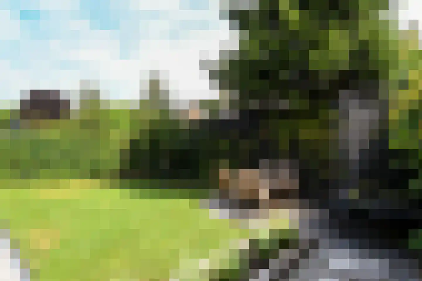 Eekhoornlaan 12 Waalre thumbnail 37