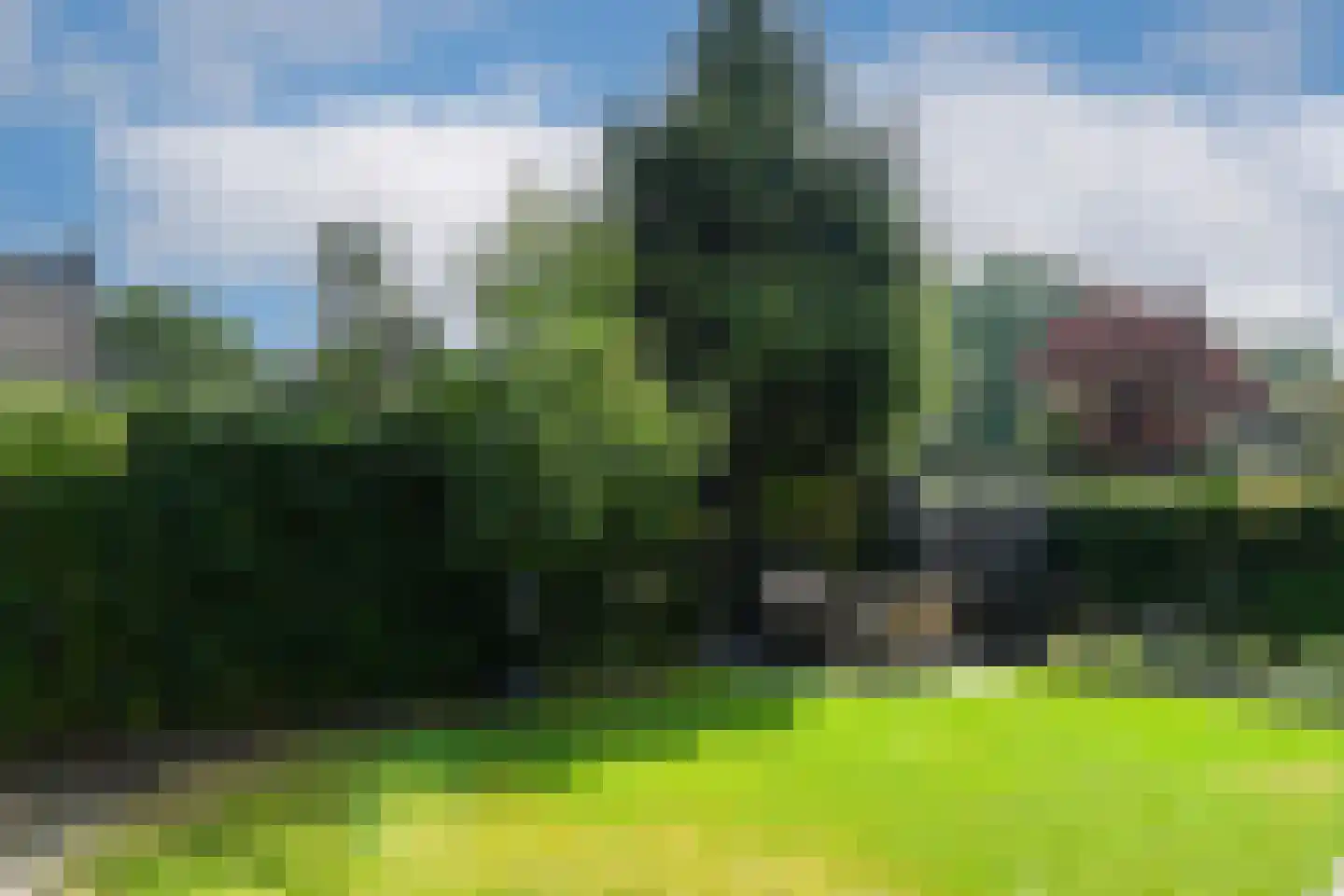 Eekhoornlaan 12 Waalre thumbnail 38
