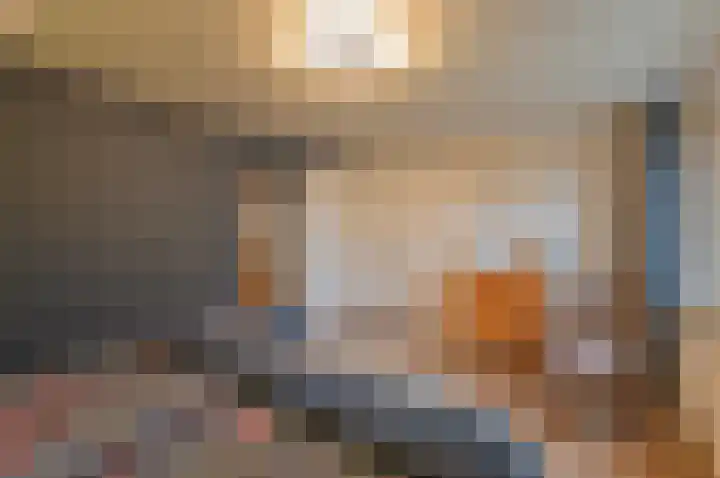 Eekhoornlaan 14 Waalre thumbnail 19